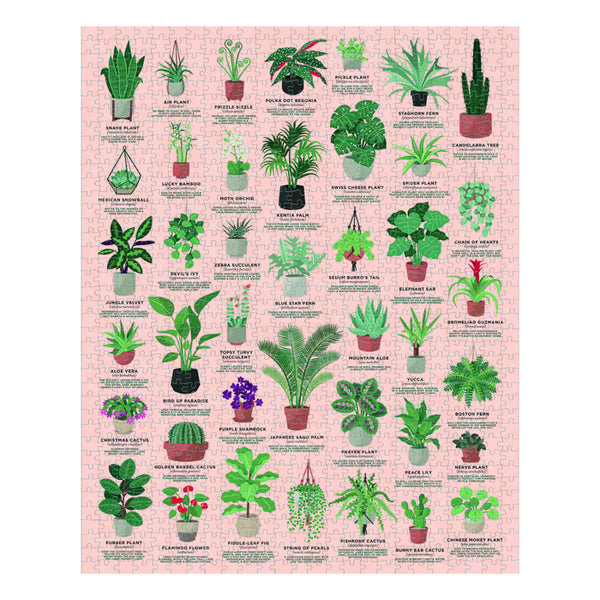 house plants chart Ridley's House Of Plants 1000 Piece Jigsaw Puzzle