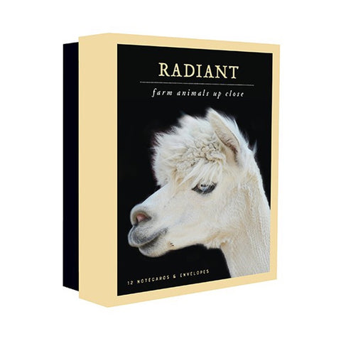 Radiant Notecards: Farm Animals Up Close