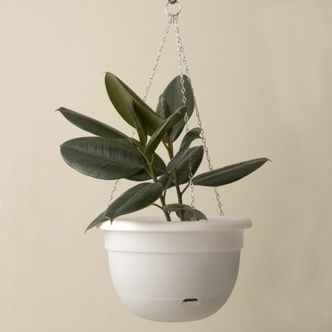MR KITLY x Decor Selfwatering Hanging Pot