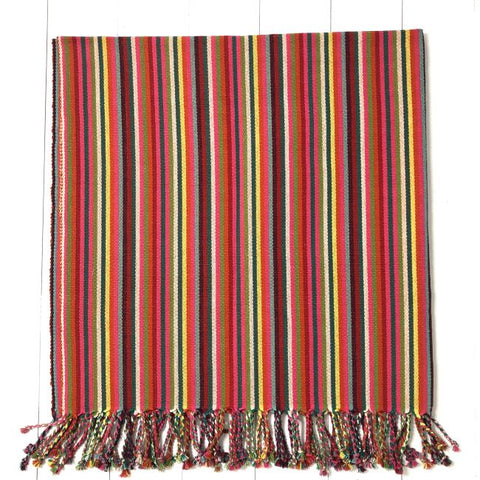 Multicolored striped blanket with fringes on a white background