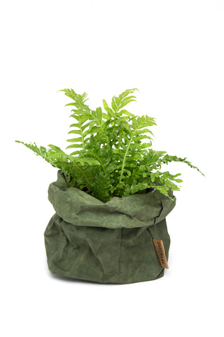 Uashmama Paper Bag - Forest