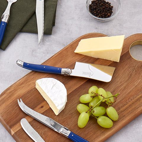 Andre Verdier Debutant Cheese Knife 3pcs Set Blue