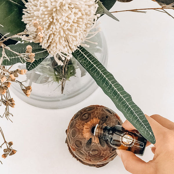 Mini Pod Diffuser Banksia Gifts Aroma Pod Diffuser -Mini - The Panton Store