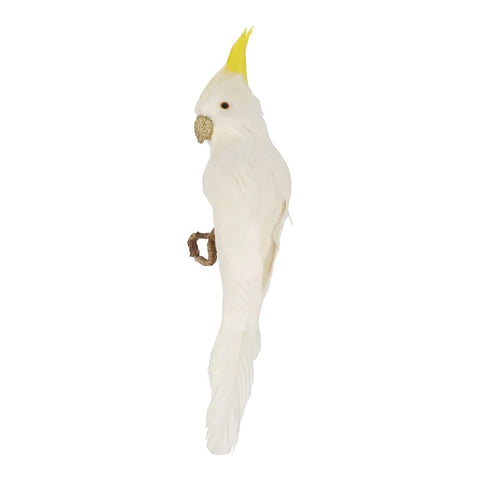 Bert the Cockatoo Decoration