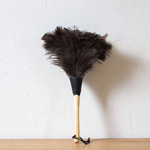 Feather Duster 350mm Brown