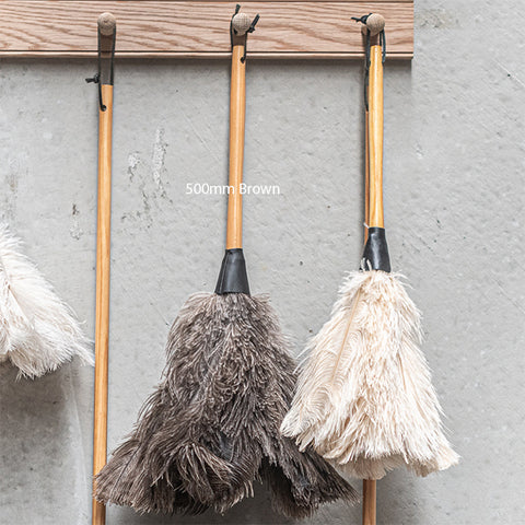 Feather Duster 500mm Brown