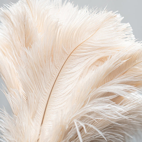 Feather Duster 500mm with White Feathers by Heaven In Earth