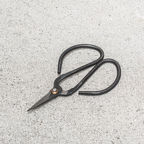 Nutscene Herb & Flower Scissors on gift box