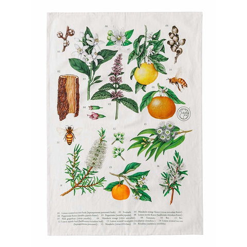 koala-eco-terra-botanica-tea-towel