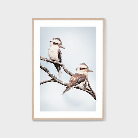 Kookaburra Pair Framed Art Print - In Stock