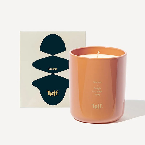 Leif Candle Boronia with gift box
