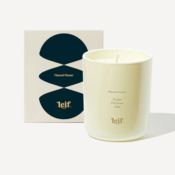 Leif Candle Flannel Flower with box