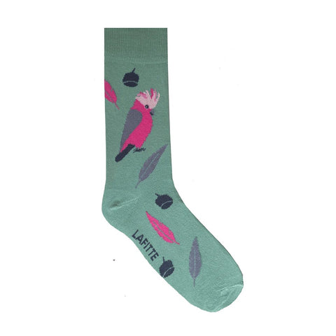 Green sock with pink galah bird and black gum nut pattern on a white background