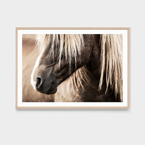 Wandering Pony Framed Art Print - In Stock