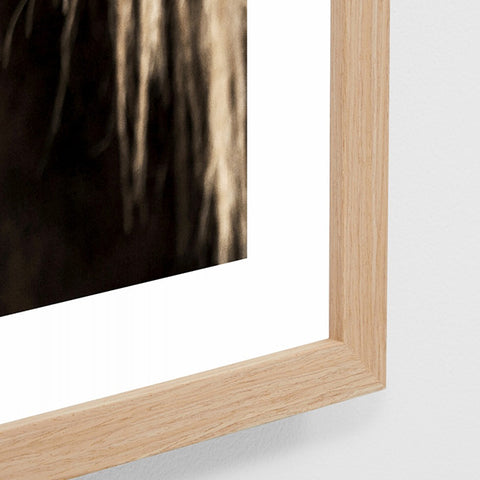 close up framed image of a horses head on a grey background