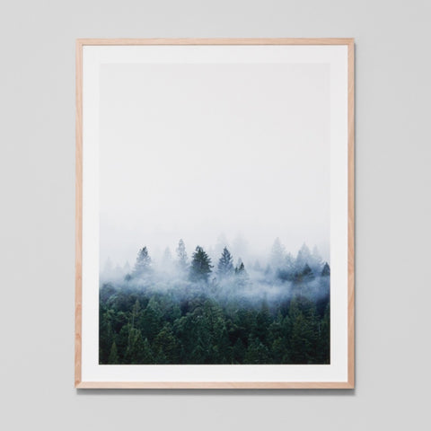 Redwood Forest Art Print 88cm x 103cm Custom Order 2-6 Weeks Lead Time