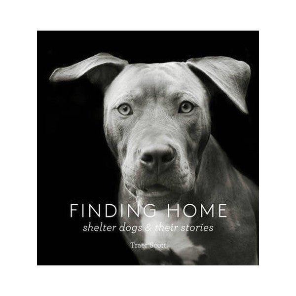 Finding Home: Shelter Dogs