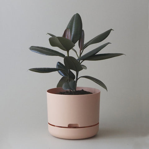 MR KITLY x Decor Selfwatering Plant Pot Pale Apricot