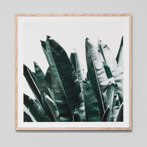 Summer Leaves 2 Art Print 83cm x 83cm - Pick Up Only