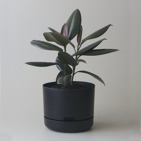 MR KITLY x Decor Selfwatering Plant Pot Recycled Black