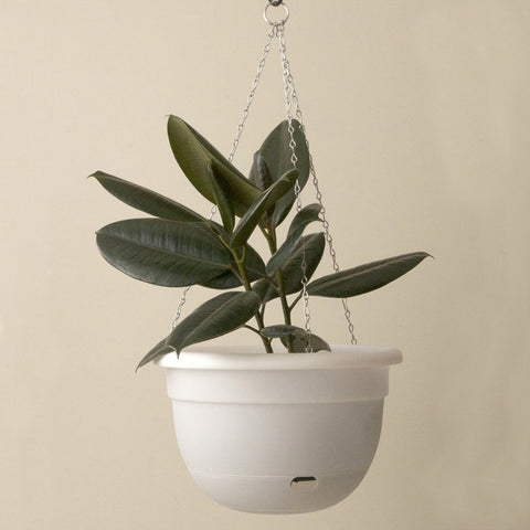 MR KITLY x Decor Self watering Hanging Pot