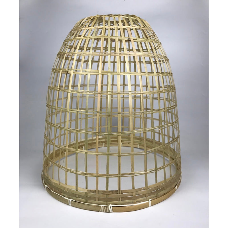 Bamboo Plant Cloche by Heaven In Earth