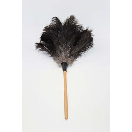 Feather Duster 500mm Brown