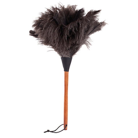 Feather Duster Brown 350mm
