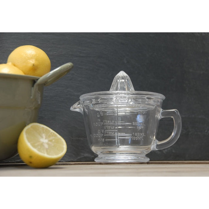 Glass Juicer and Measuring Jug by Heaven In Earth