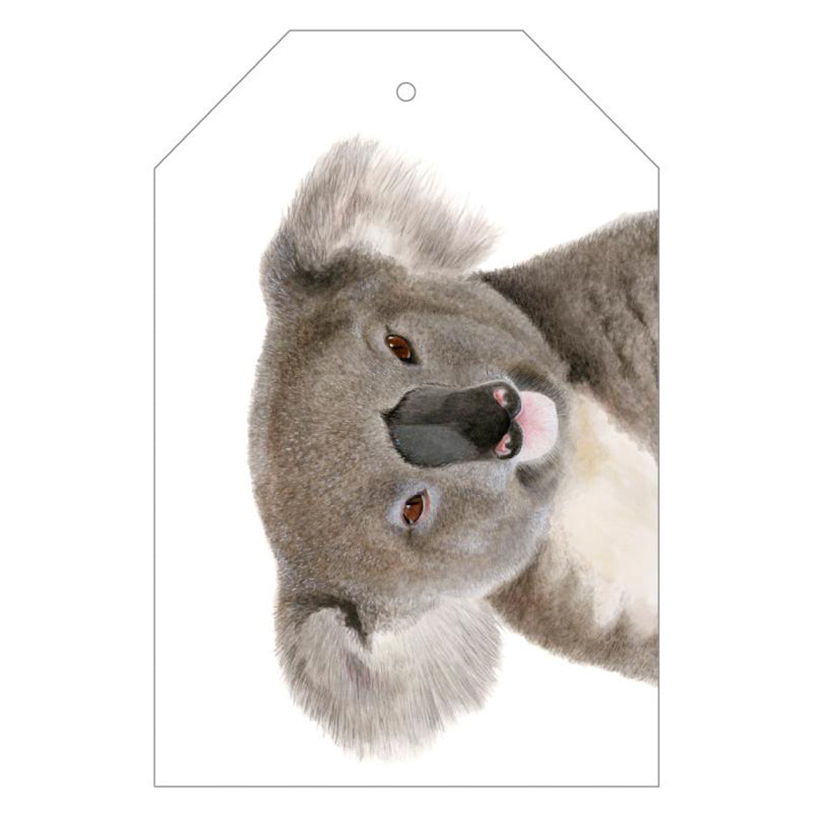 Koala Gift Tag
