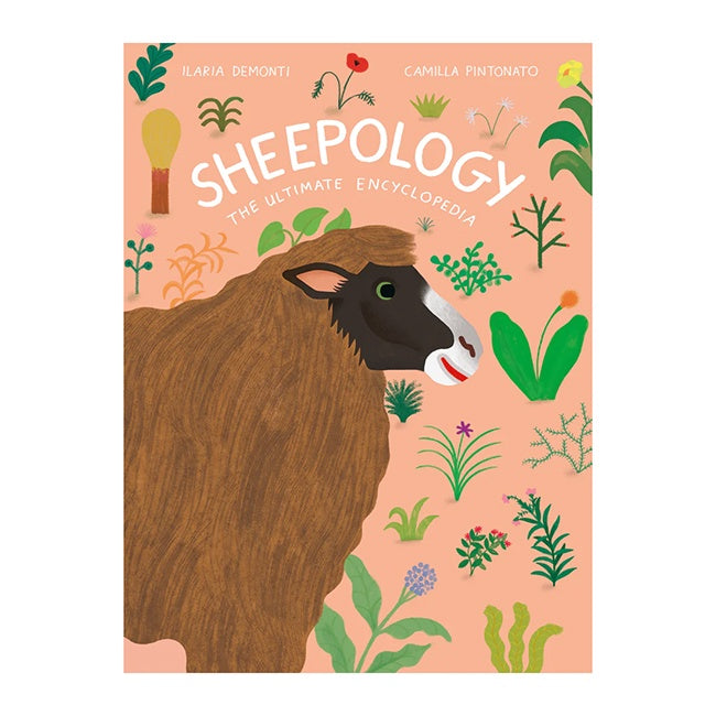 Sheepology: The Ultimate Encyclopedia Children's Book  by Ilara Demonti & Camilla Pintonato