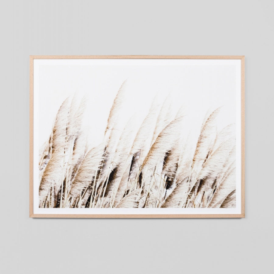 Pampas Breeze Art Print by Middle Of Nowhere