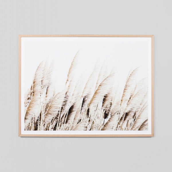 Pampas Breeze Art Print by Middle Of Nowhere