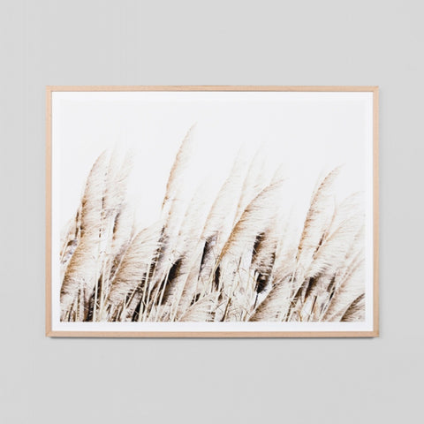 Pampas Breeze Art Print Custom Order 2-6 Week Lead Time