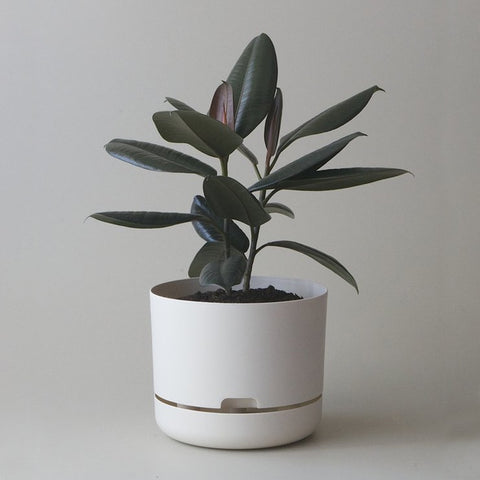 MR KITLY x Decor Selfwatering Plant Pot White Linen