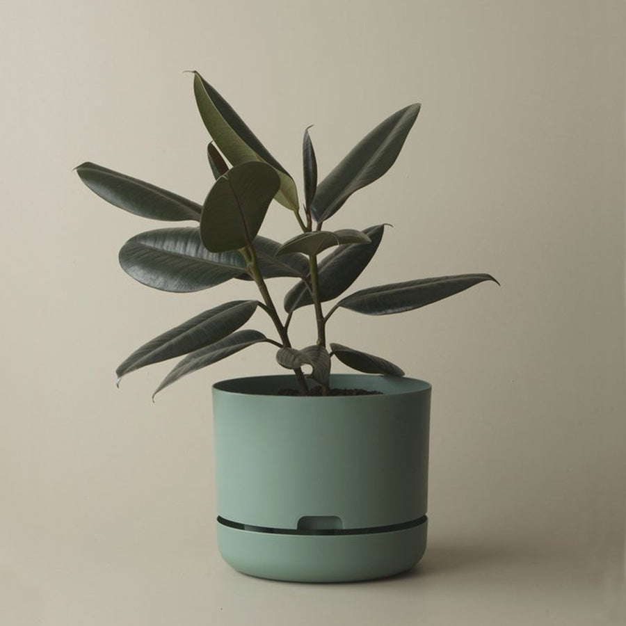 MR KITLY x Decor Selfwatering Plant Pot Cabinet Green