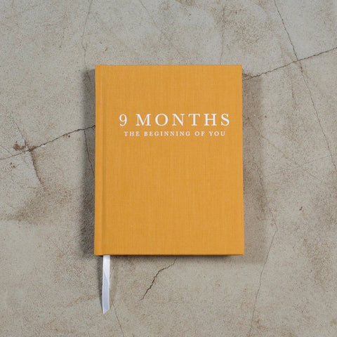 Write To Me 9 Months Journal