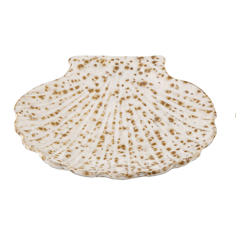 Eggshell Seashell Trinket Plate